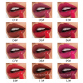 High Quality Cosmetic Waterproof Lipstick Long Lasting Lipstick  Private Label Lipgloss